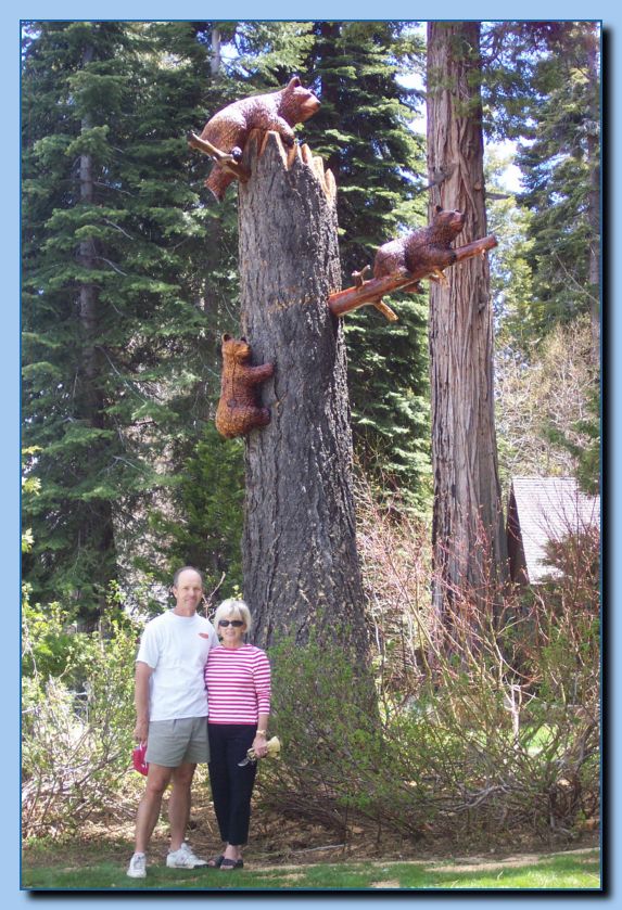 2-39 bears attached to tree-archive-0001